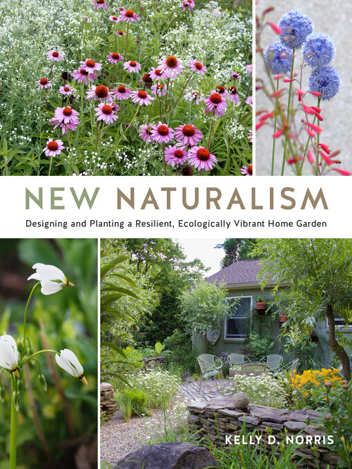 Title details for New Naturalism by Kelly D. Norris - Wait list